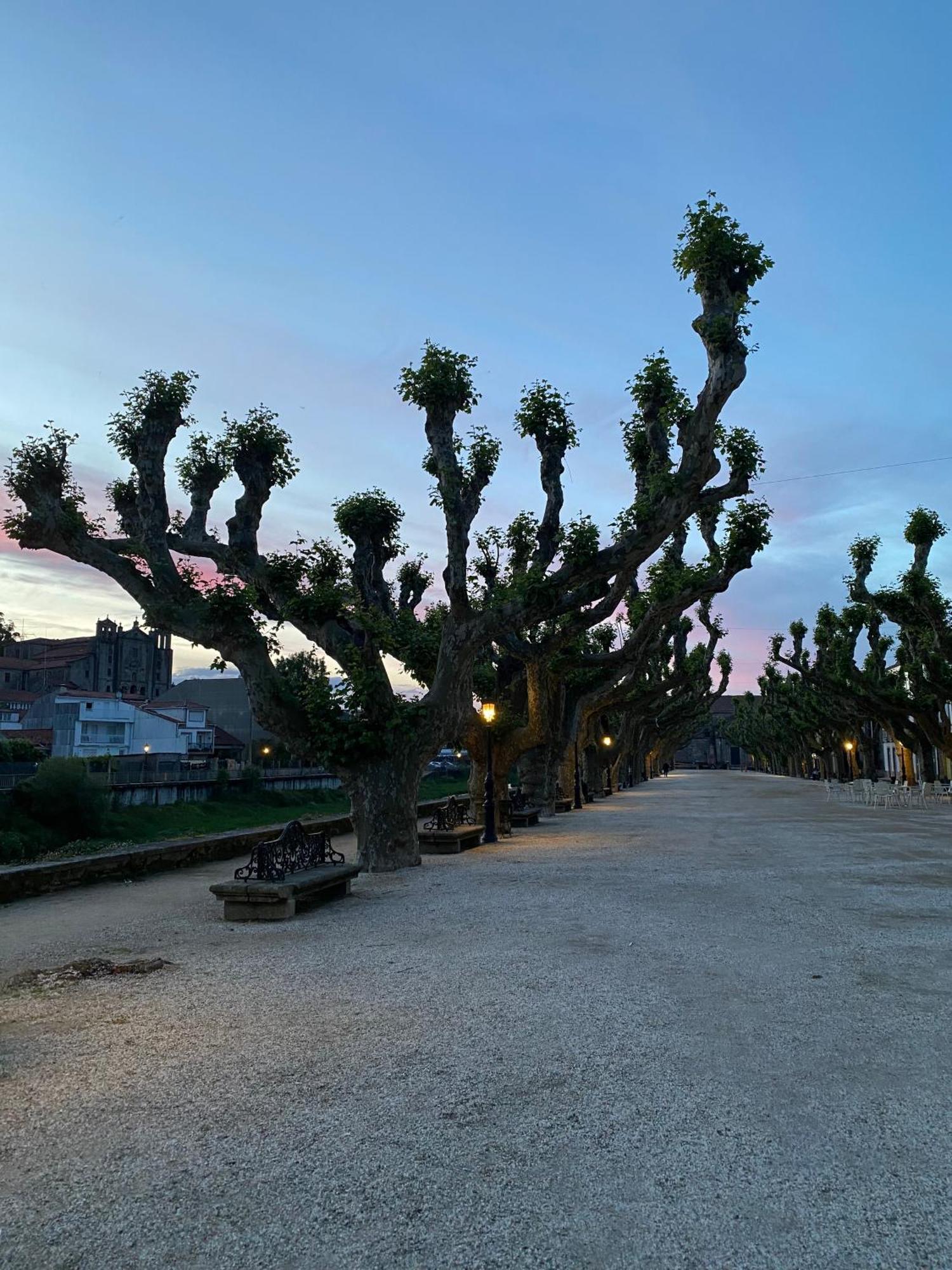 패트론 Casa Do Campo Lestrove 빌라 객실 사진